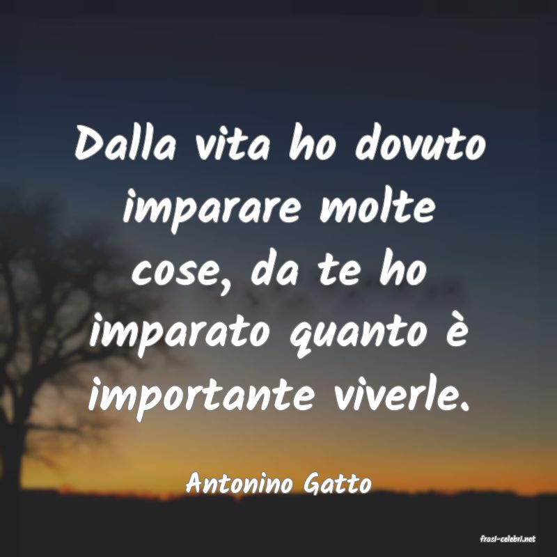 frasi di  Antonino Gatto
