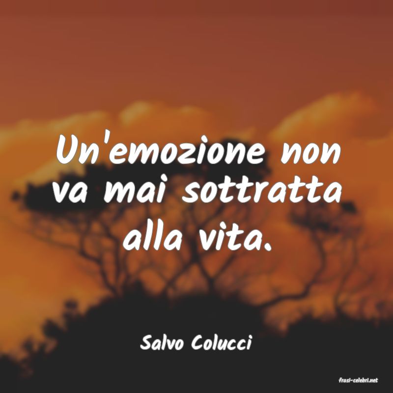 frasi di  Salvo Colucci
