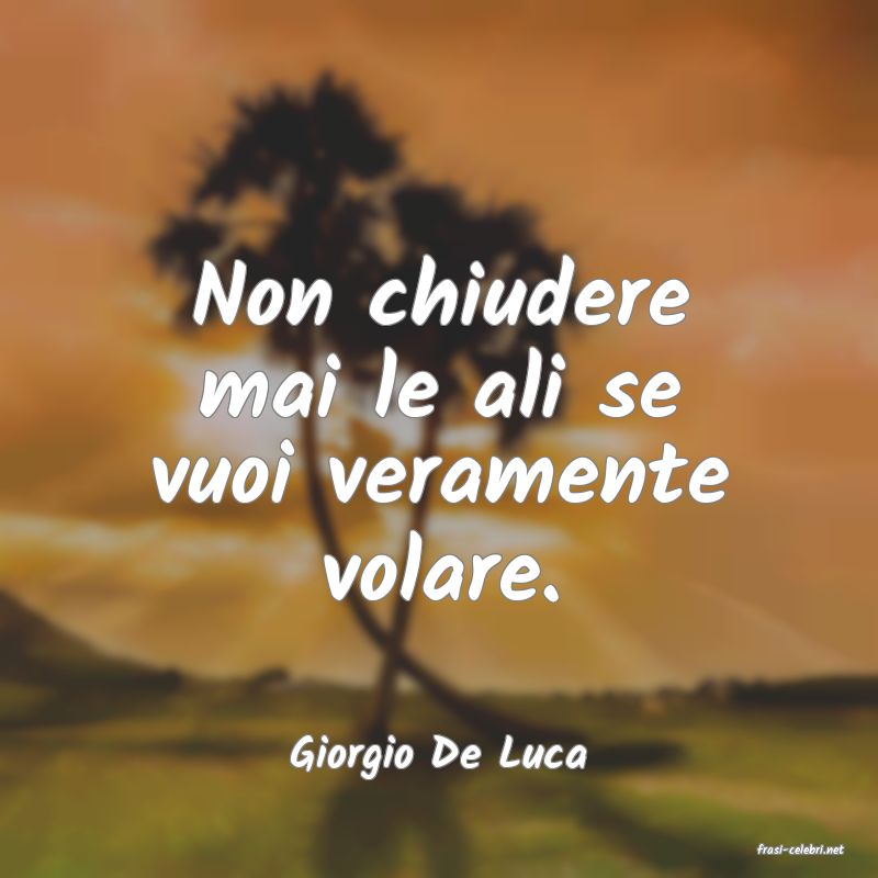 frasi di  Giorgio De Luca
