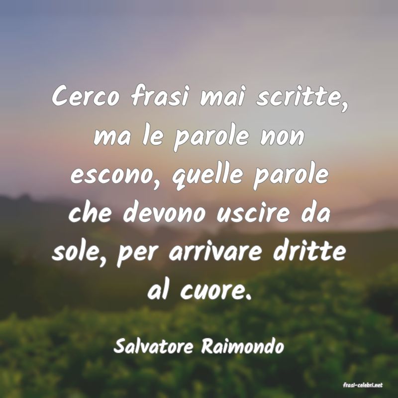 frasi di  Salvatore Raimondo
