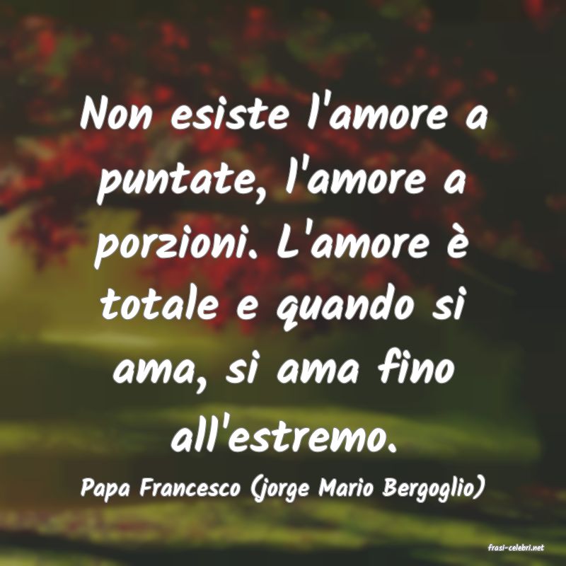 frasi di  Papa Francesco (jorge Mario Bergoglio)
