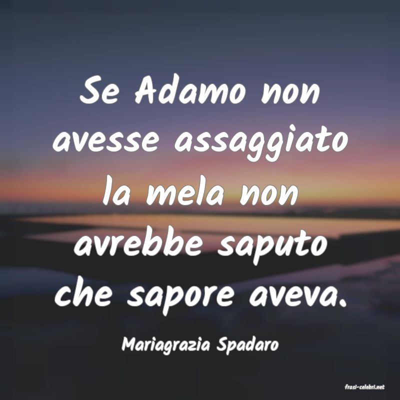 frasi di  Mariagrazia Spadaro
