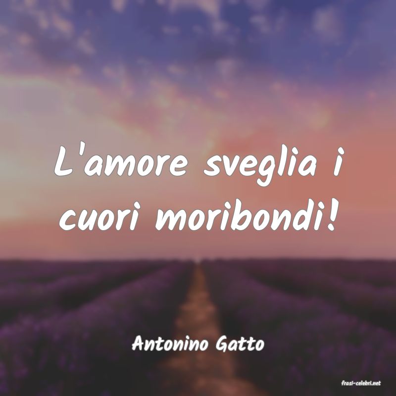 frasi di  Antonino Gatto
