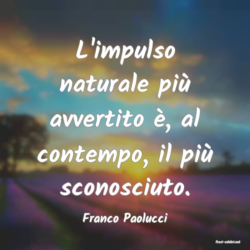 frasi di  Franco Paolucci
