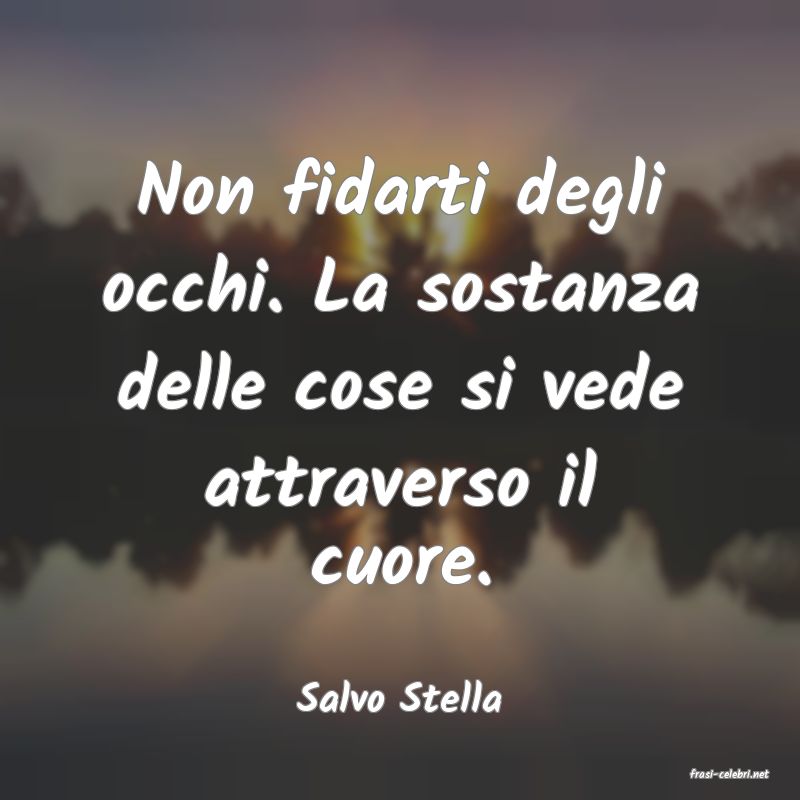 frasi di  Salvo Stella
