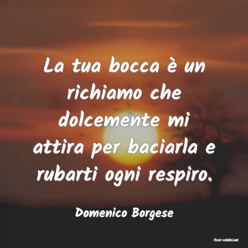 frasi di  Domenico Borgese
