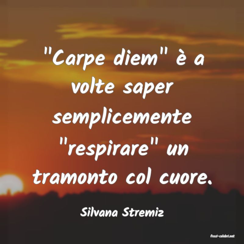 frasi di  Silvana Stremiz
