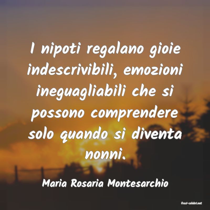 frasi di  Maria Rosaria Montesarchio
