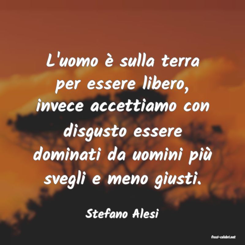 frasi di  Stefano Alesi
