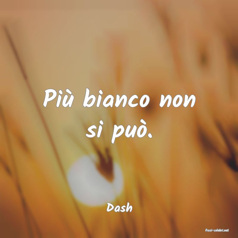 frasi di  Dash
