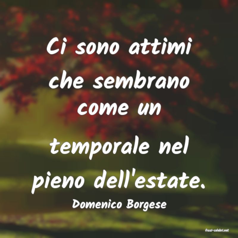 frasi di  Domenico Borgese
