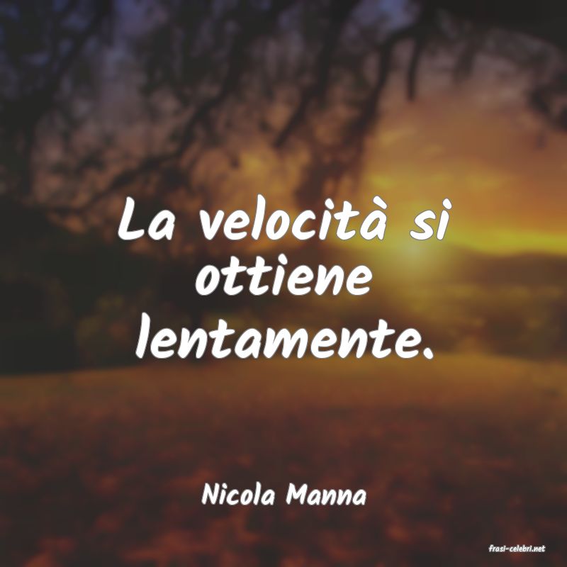 frasi di  Nicola Manna
