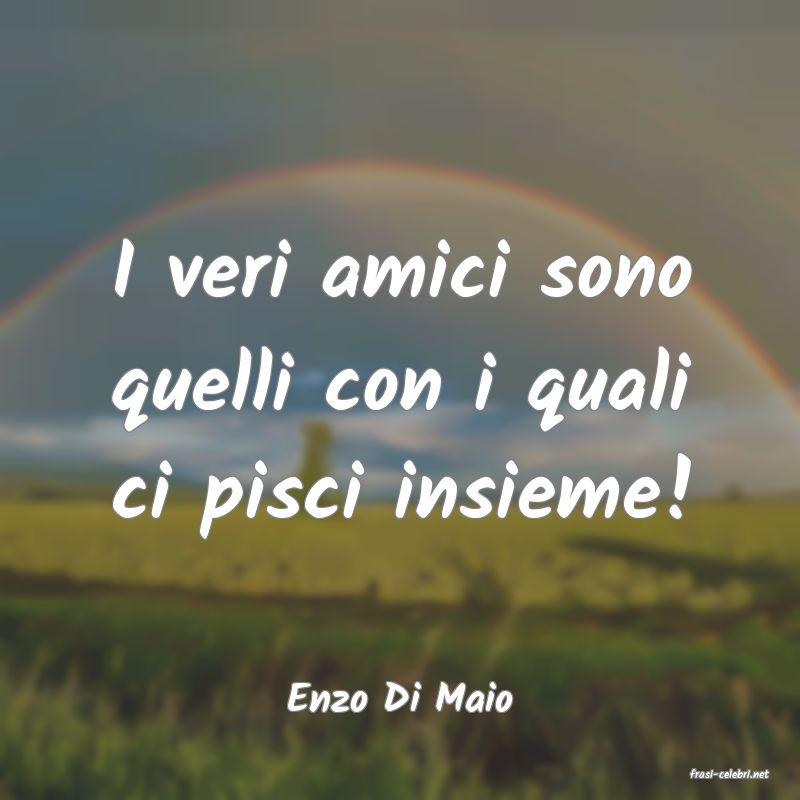 frasi di  Enzo Di Maio
