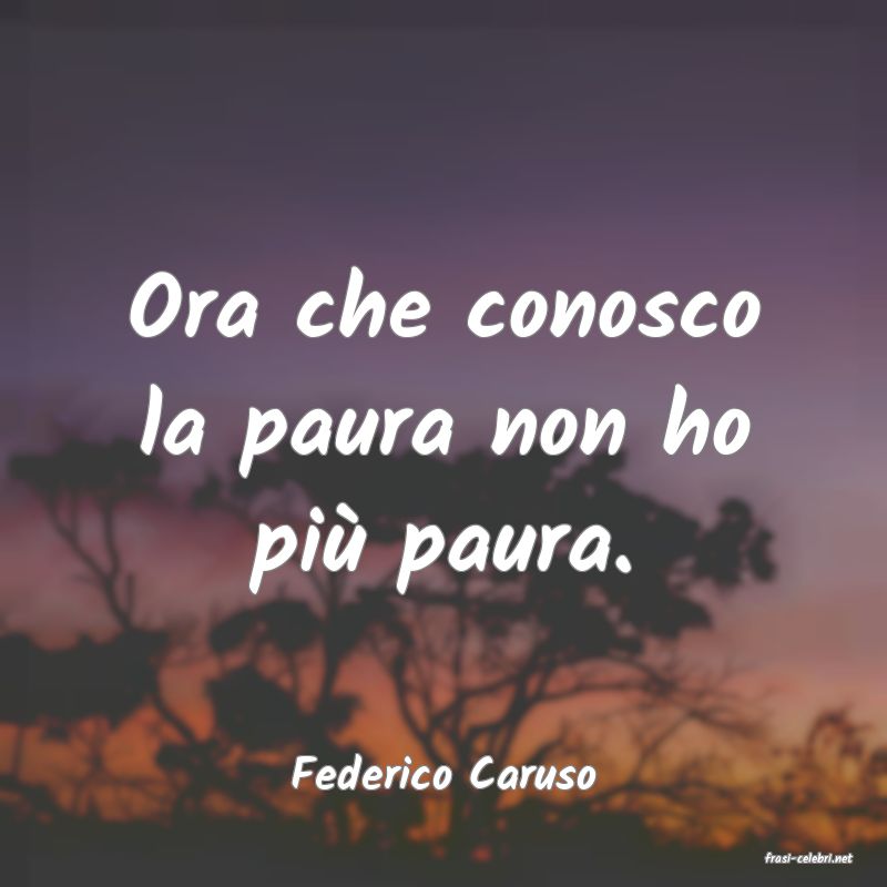 frasi di  Federico Caruso
