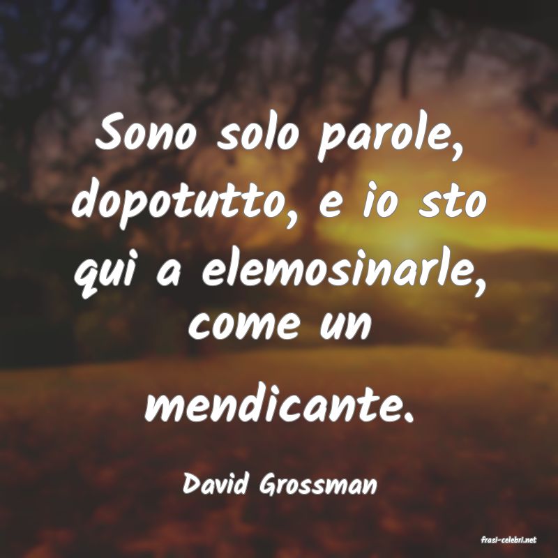 frasi di  David Grossman
