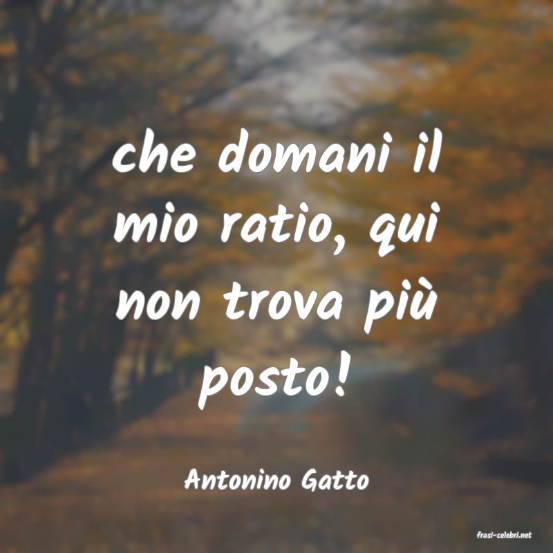 frasi di  Antonino Gatto
