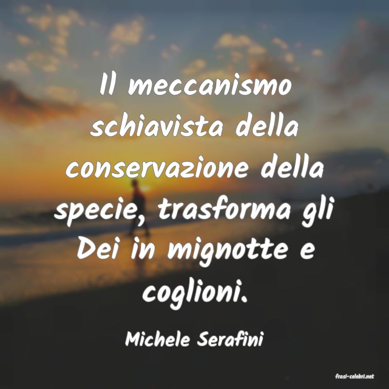 frasi di  Michele Serafini
