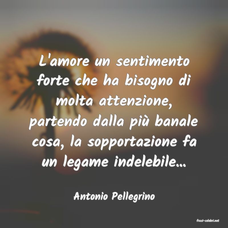 frasi di  Antonio Pellegrino
