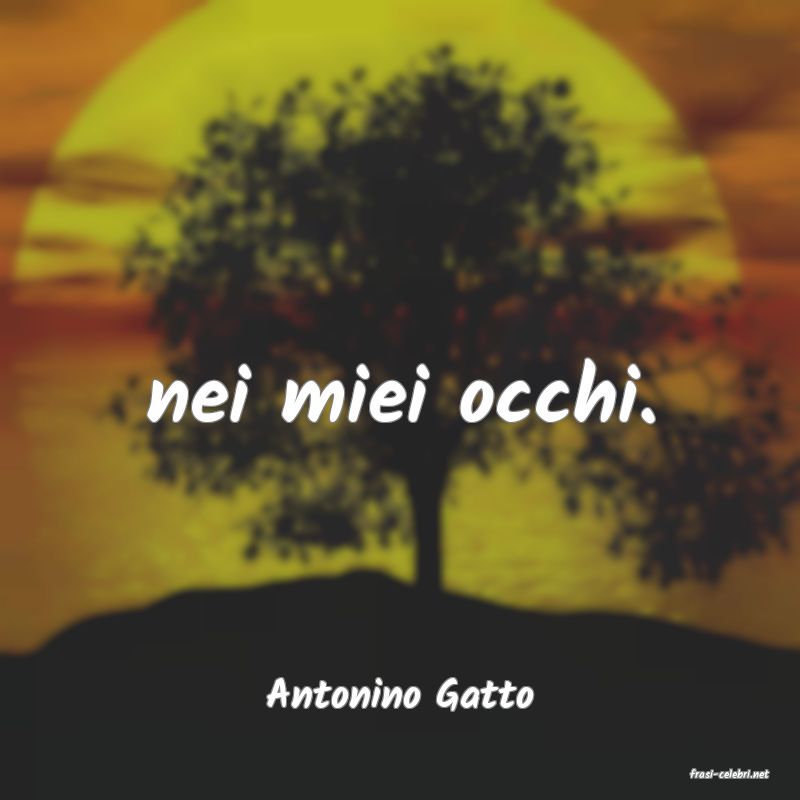 frasi di  Antonino Gatto
