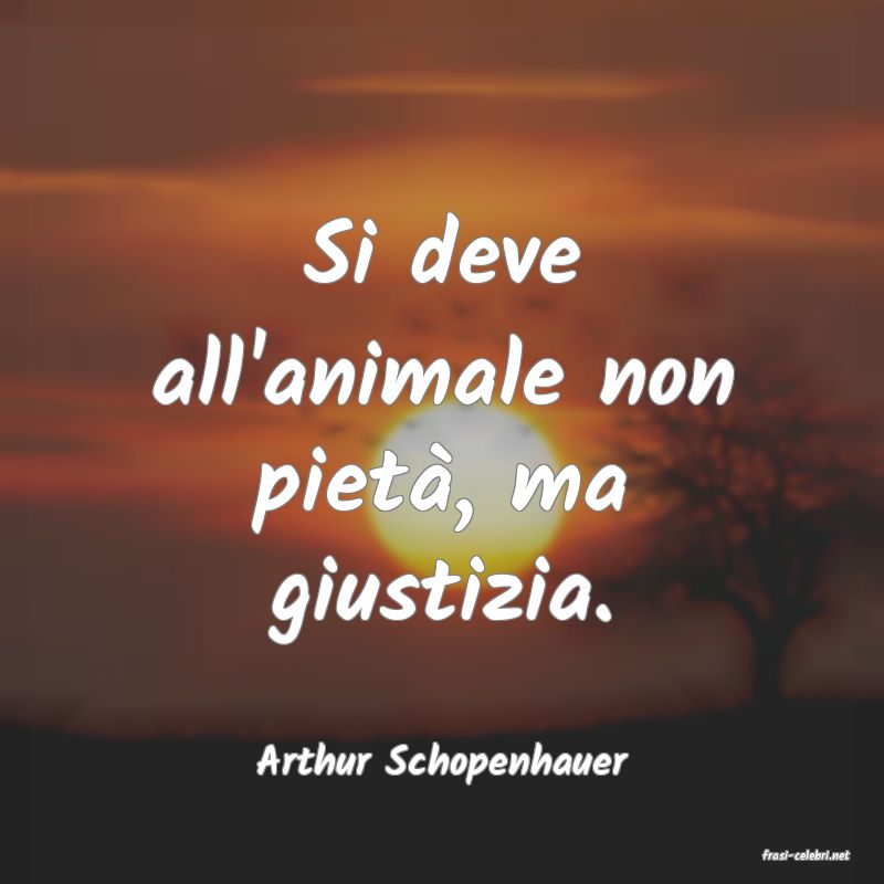 frasi di  Arthur Schopenhauer
