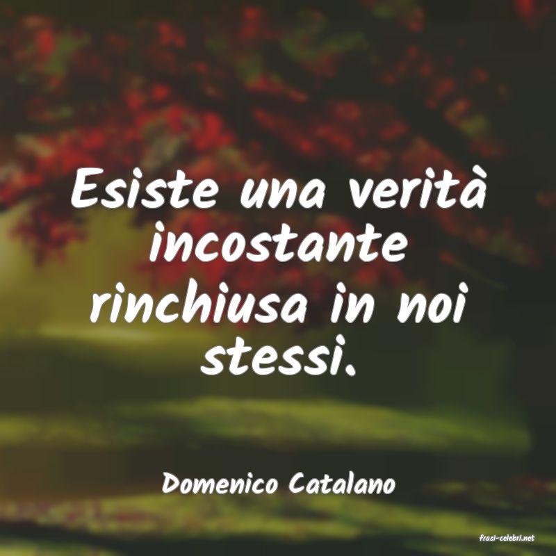 frasi di  Domenico Catalano
