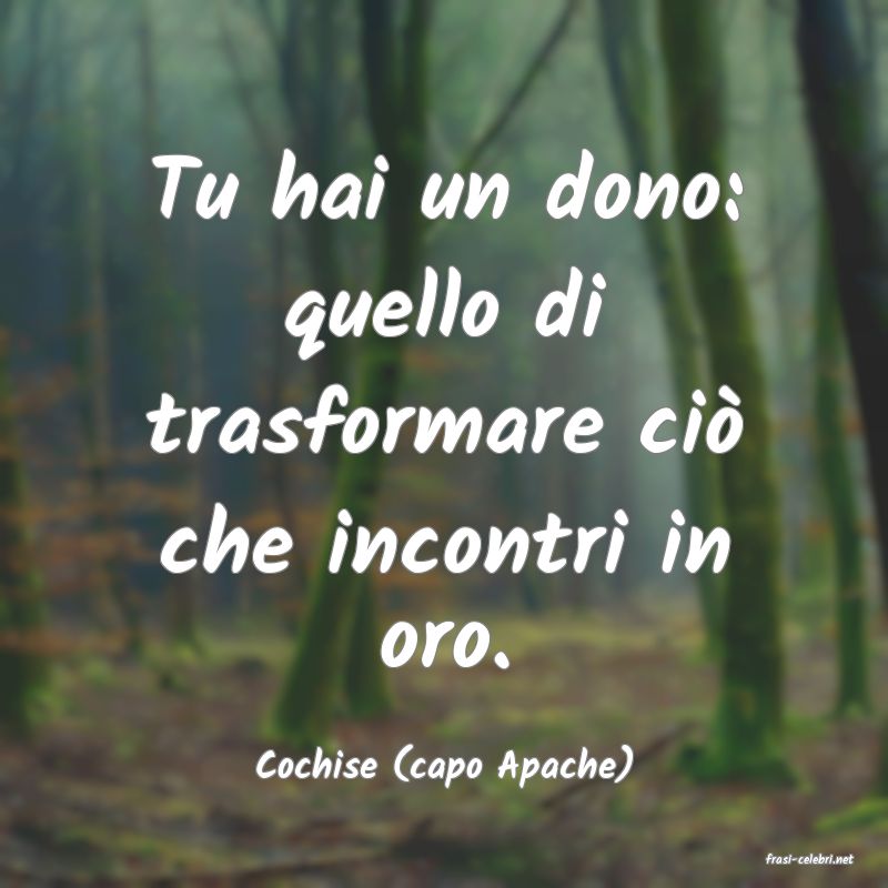 frasi di  Cochise (capo Apache)
