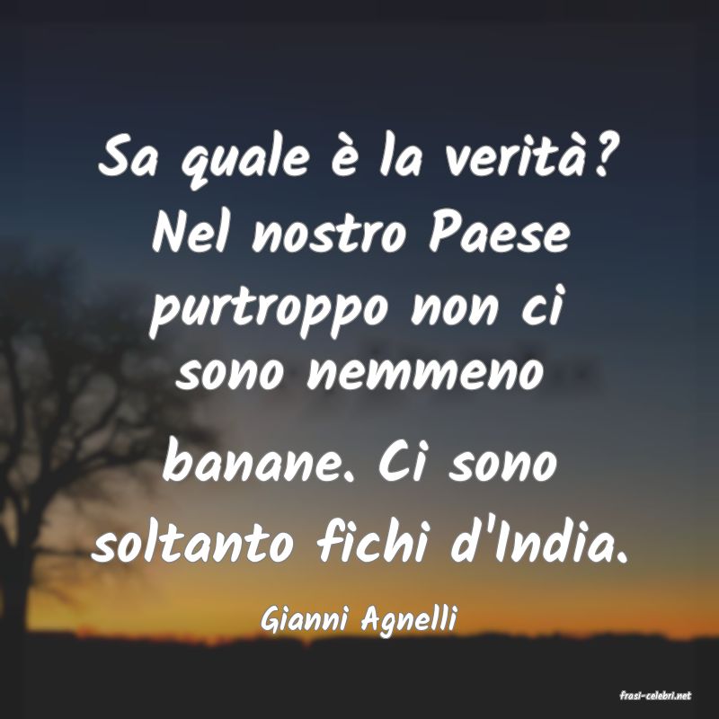 frasi di  Gianni Agnelli
