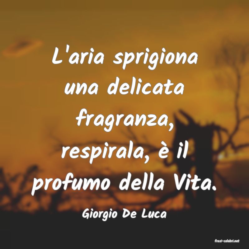 frasi di  Giorgio De Luca
