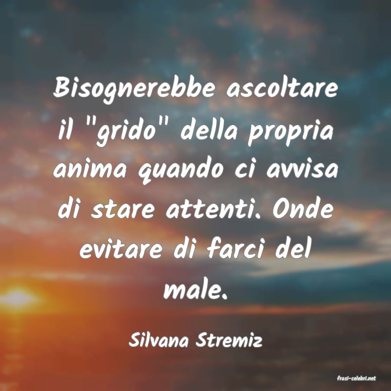 frasi di  Silvana Stremiz
