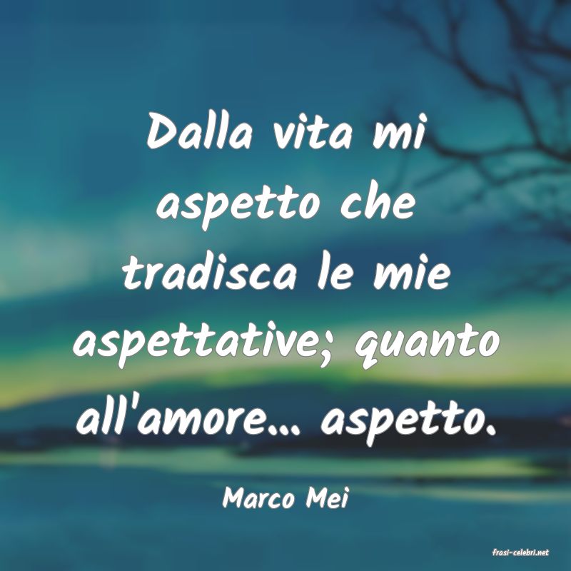 frasi di  Marco Mei
