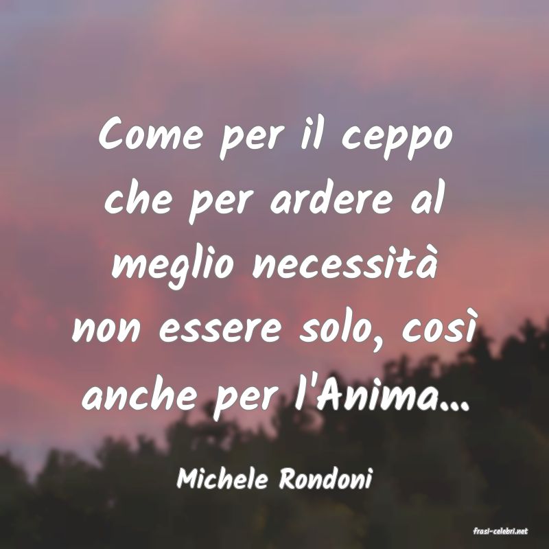 frasi di  Michele Rondoni
