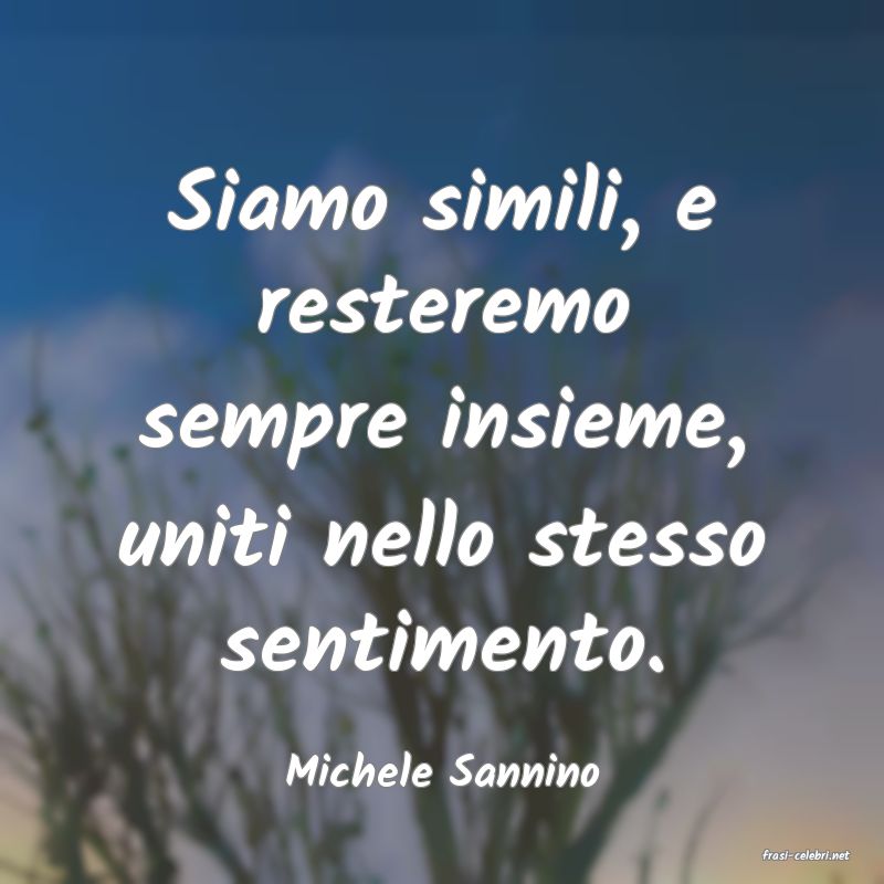 frasi di  Michele Sannino
