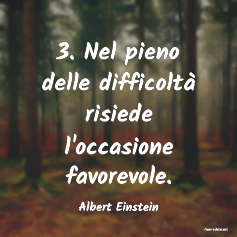 frasi di  Albert Einstein
