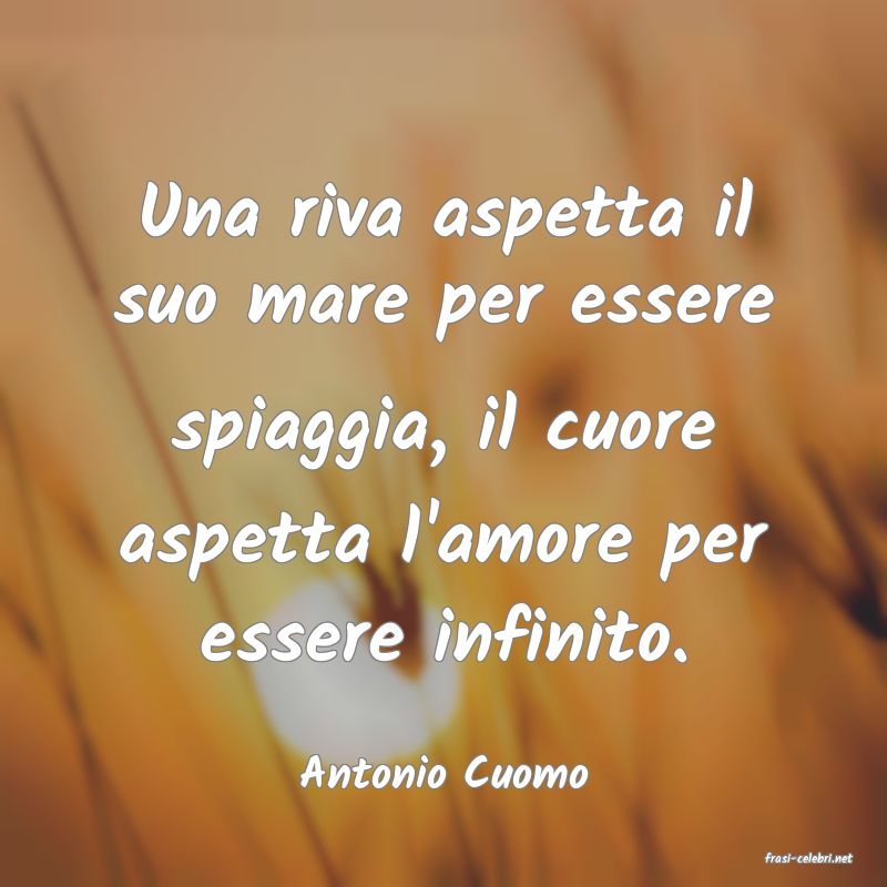 frasi di  Antonio Cuomo
