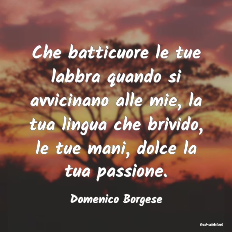 frasi di  Domenico Borgese
