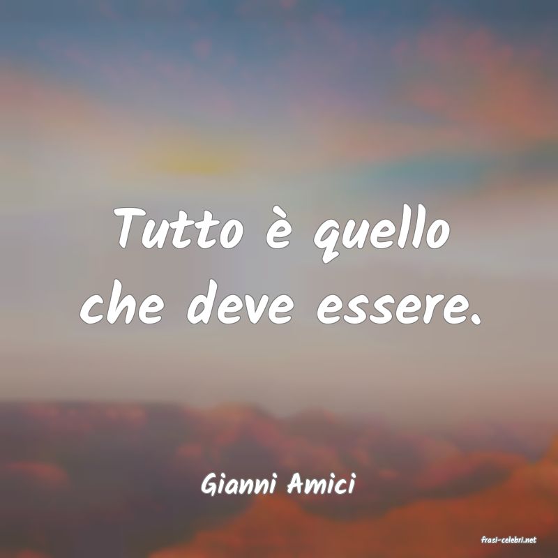 frasi di  Gianni Amici
