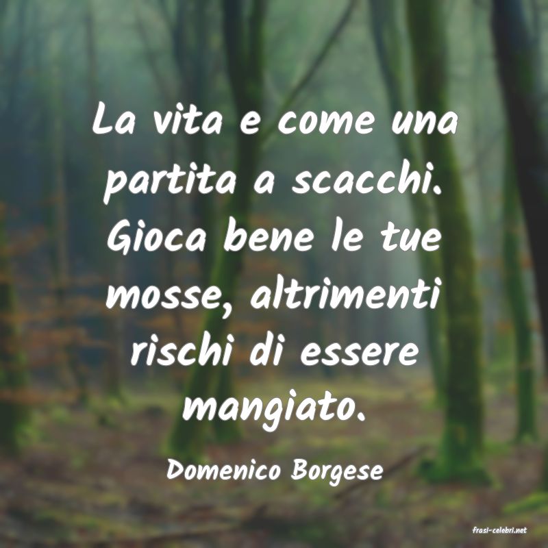 frasi di  Domenico Borgese
