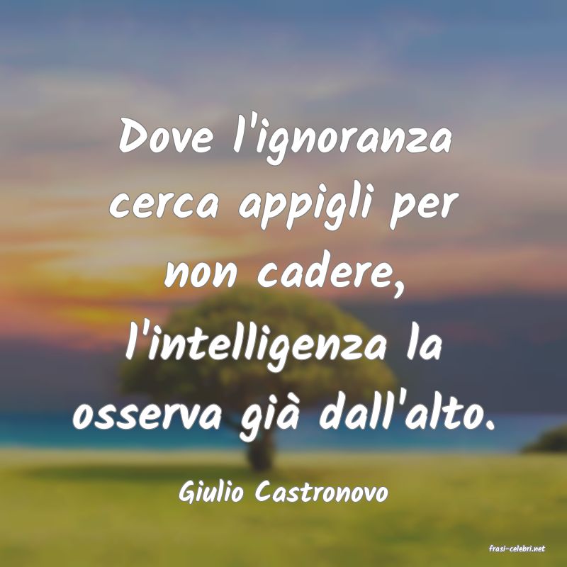 frasi di  Giulio Castronovo
