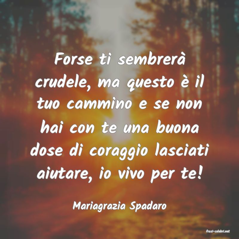 frasi di  Mariagrazia Spadaro
