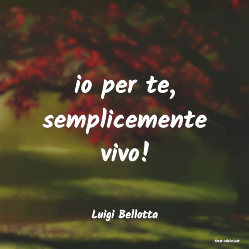 frasi di  Luigi Bellotta
