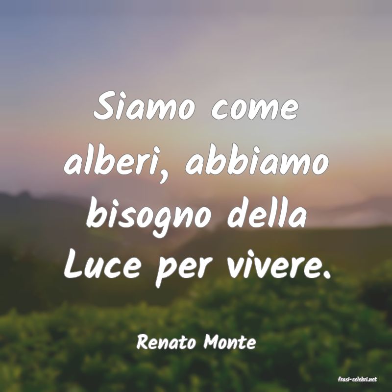 frasi di  Renato Monte
