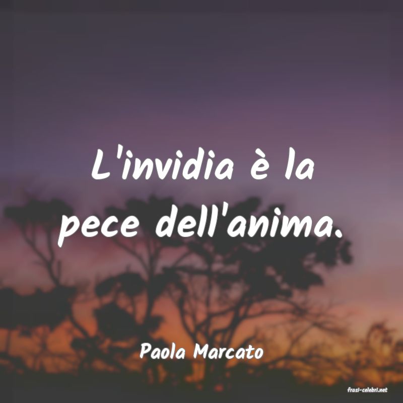 frasi di  Paola Marcato
