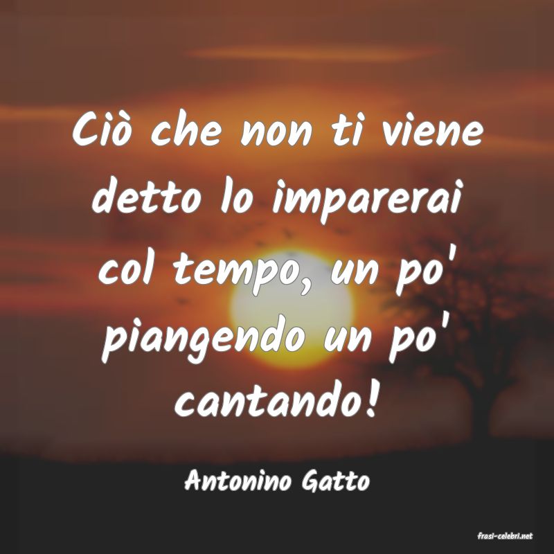 frasi di  Antonino Gatto
