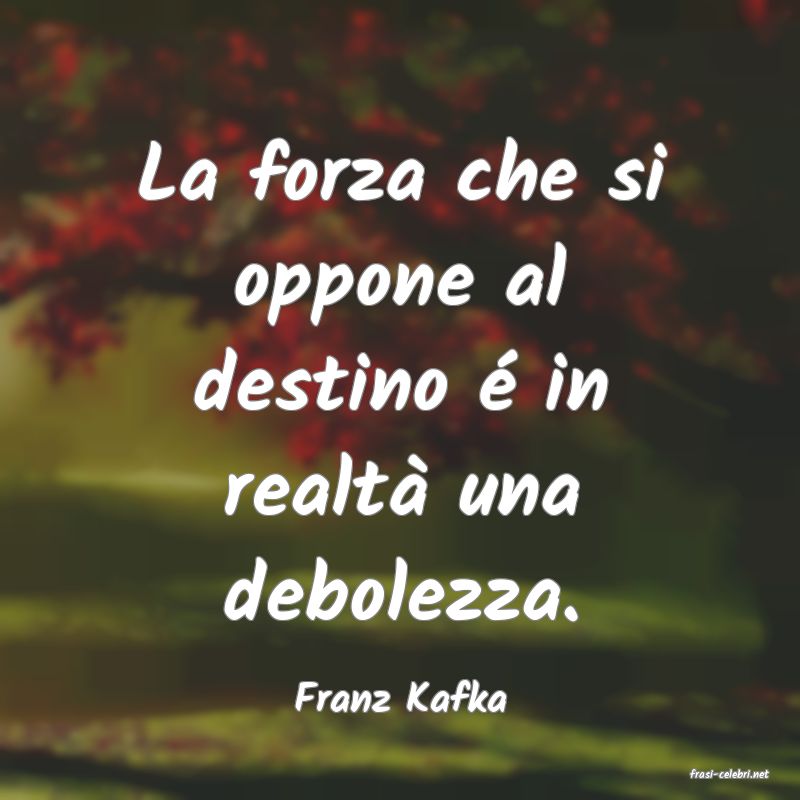 frasi di  Franz Kafka
