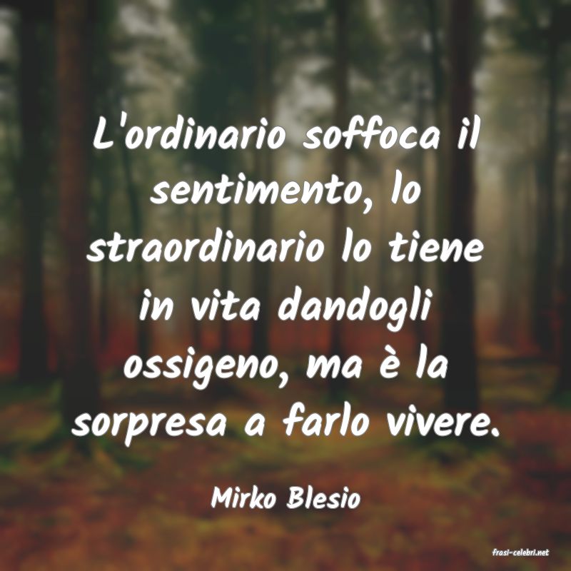 frasi di  Mirko Blesio
