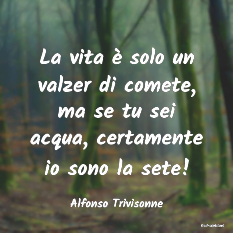 frasi di  Alfonso Trivisonne
