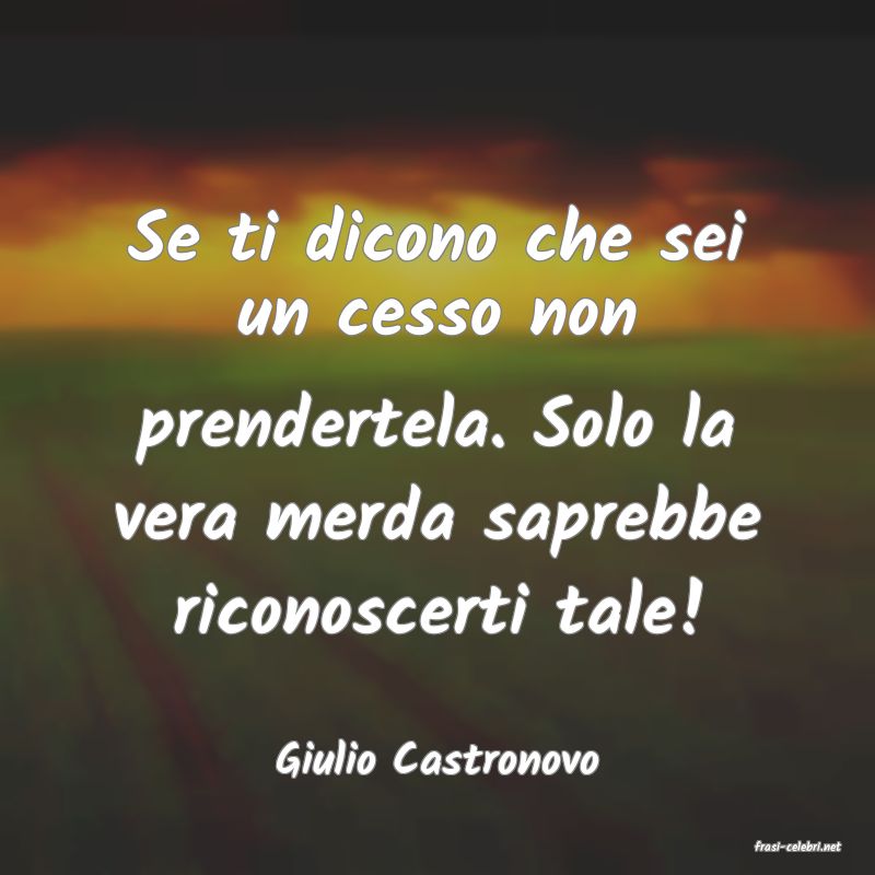 frasi di  Giulio Castronovo
