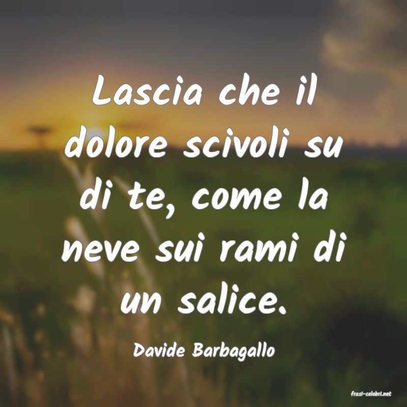 frasi di  Davide Barbagallo
