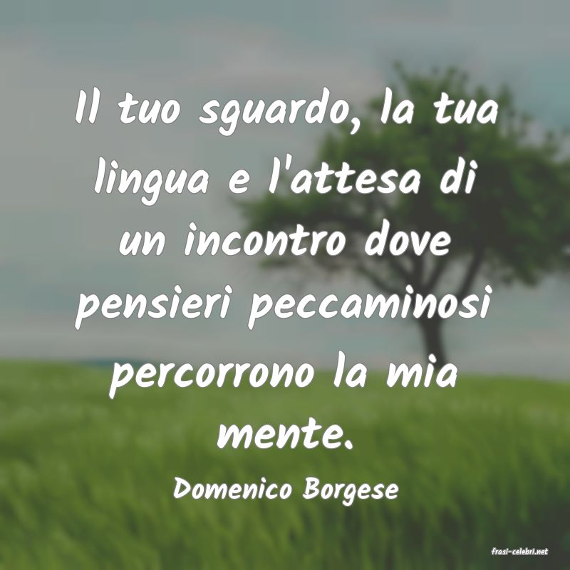 frasi di  Domenico Borgese
