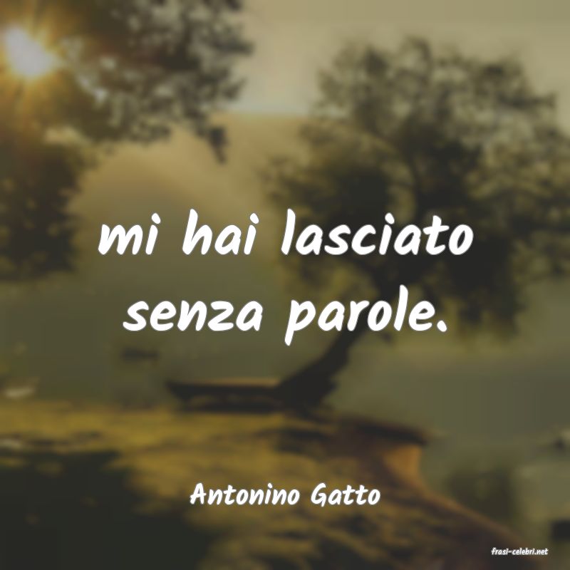 frasi di  Antonino Gatto
